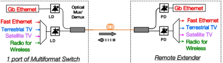 Figure 4.   Second step: hybrid multiplexing, optical and electrical. 