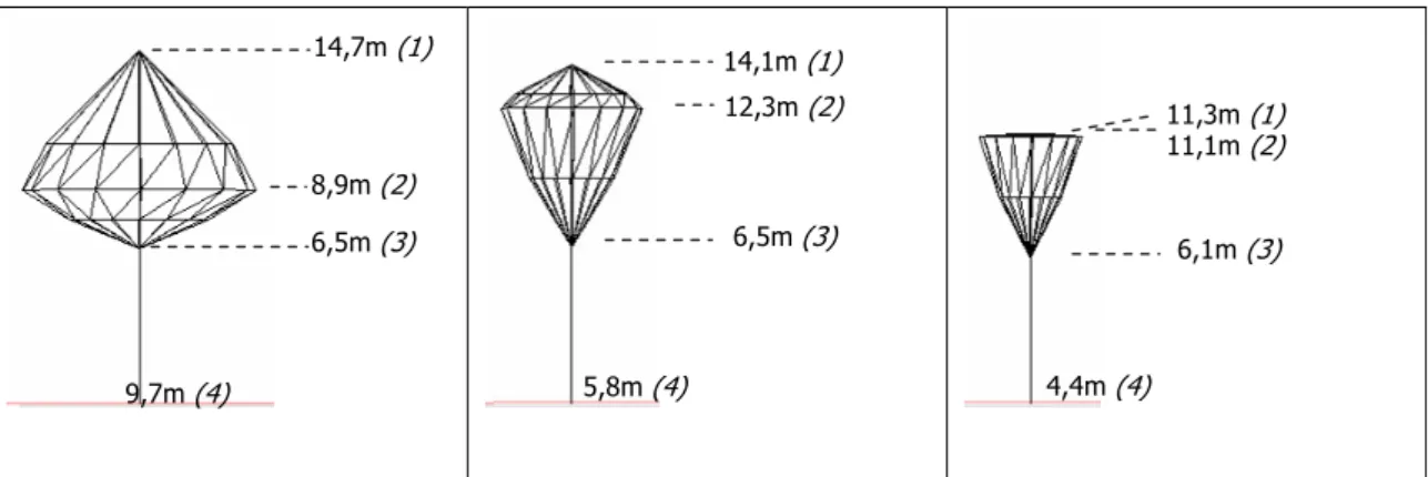Figure 3: (1) Crown height - (2) Max diameter height - (3) Crown base height 