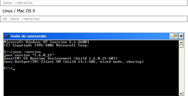 Figure 4: Command window screenshot - java version 1.6 installed  3.2 Install &amp; Start  C APSIS