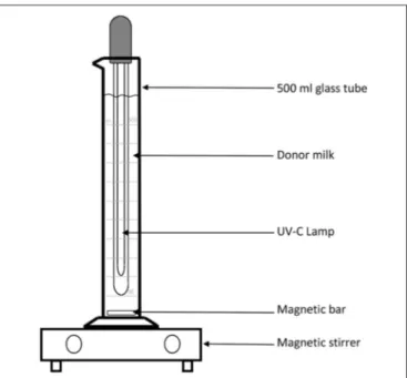 FIGURE 2 | Schematic representation of the device used to treat donor human milk with UV-irradiation.