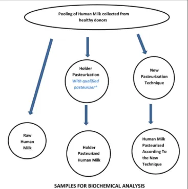FIGURE 3 | Workflow for assessing the performance of new pasteurization technologies for human milk
