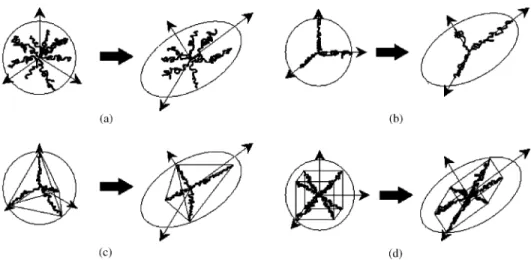 Fig. 1. Description of the non-Gaussian network models: (a) full network, (b) three chains, (c) four chains, (d) eight chains.