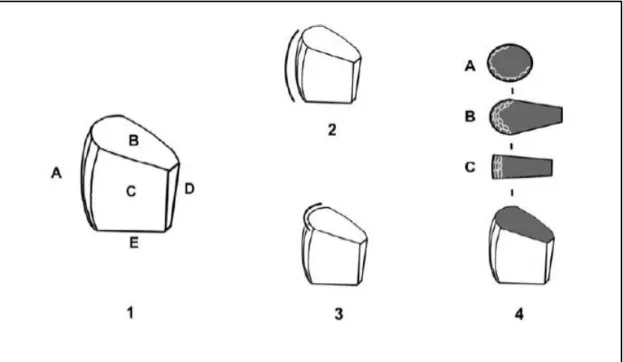 Figure 9 Nomenclature descriptive des nucléus à microlames  (tirée de Desrosiers 2009 : 128)