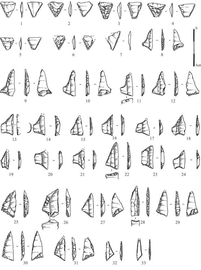 Figure 7 : L’Essart (Poitiers, Vienne). Armatures en silex du niveau mésolithique, fouille 2004 (dessins François Blanchet).