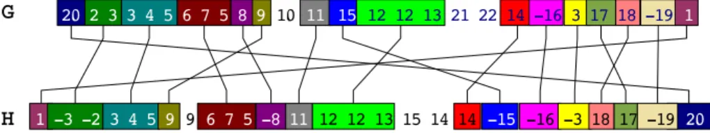 Fig. 1. A possible complete matching M between two genomes G and H represented as signed sequences