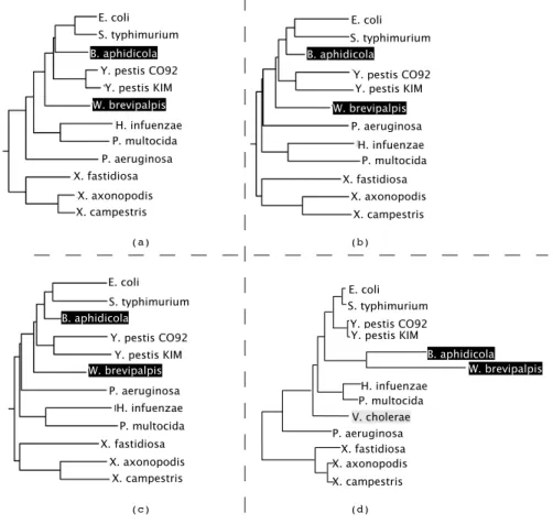 Fig. 2. Experimental results with the first set of gene families ([15]). (a) breakpoints distance
