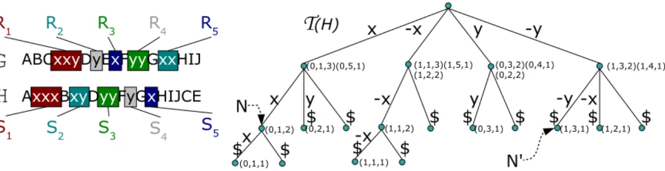 Fig. 6. Illustration of S , R and T (H) for two genomes G and H built on two non-trivial families (x and y)