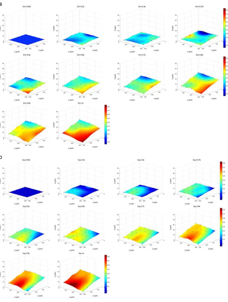 Fig. 9 – Example of Green-Lagrange strain ﬁeld evolution during loading for an elliptic sample (R4) showing the heterogeneity of local strain in human liver capsule
