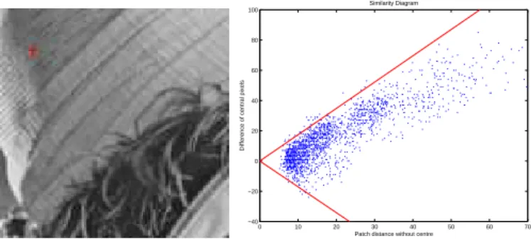 Fig. 3.1. Example of a similarity diagram. Left: extract of the Lena image (without noise).