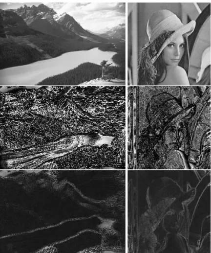 Fig. 4.1. Map of parameters prescribed by the oracle. The original images were degraded with σ = 10, the patch size is s = 7