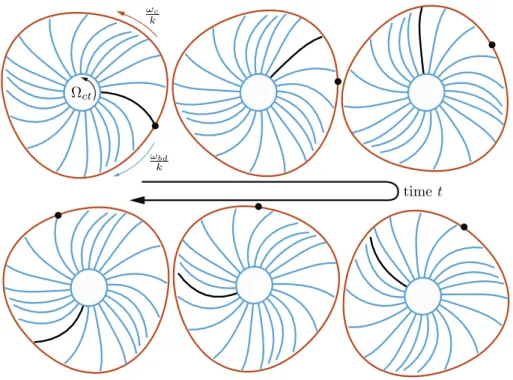 Figure 4: Schematic of a modal interaction coincidence for k = 3. The bladed disk rotates clockwise at Ω ct as shows the black blade