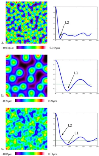 Figure 1: Examples of patterns with various scales and their correlation functions.