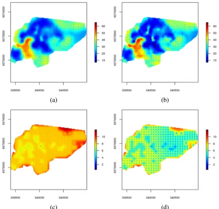 Figure 9: (a, b) Predictions and prediction standard deviations for the estimated stationary model for gamma K concentration