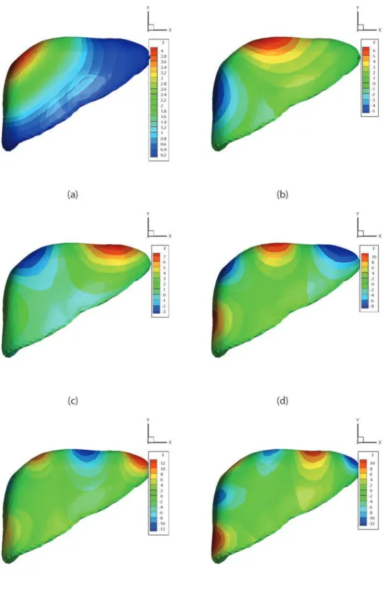 Fig. 10 Six ﬁrst functions Y(y), k = 1 , . . . 6, for the simulation of the liver. Note that, in this case, functions Y(y) are deﬁned on the boundary of the liver only.
