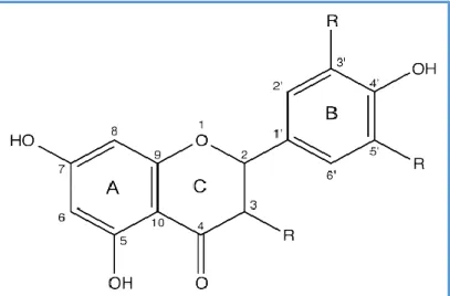 Figure 05: Basic chemical structure and numbering pattern of flavonoids    (Yáñez et al., 2013)