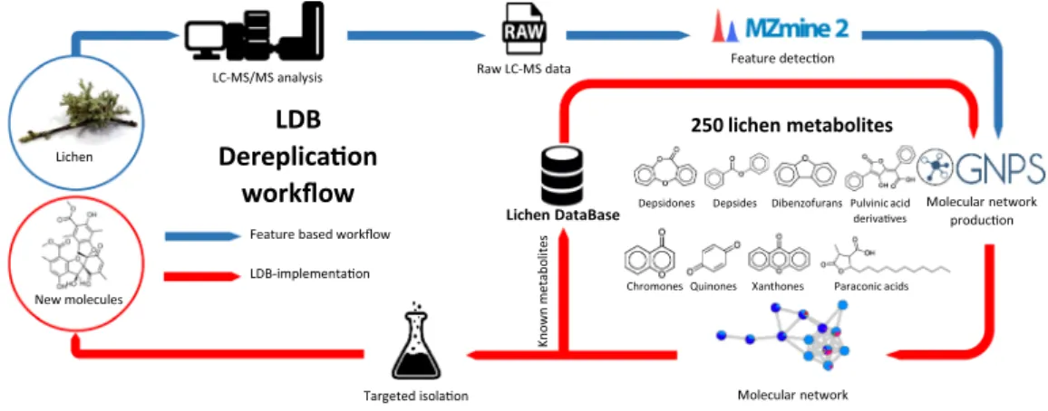Fig. 1  LDB workflow sustained by 250 lichen metabolites as of 07/2019.