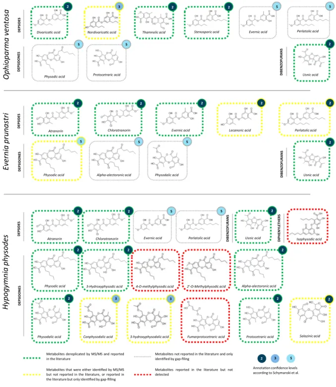 Fig. 4  Summary of the molecular networking-based dereplication process of the extracts of Ophioparma  ventosa, Evernia prunastri and Hypogymnia physodes