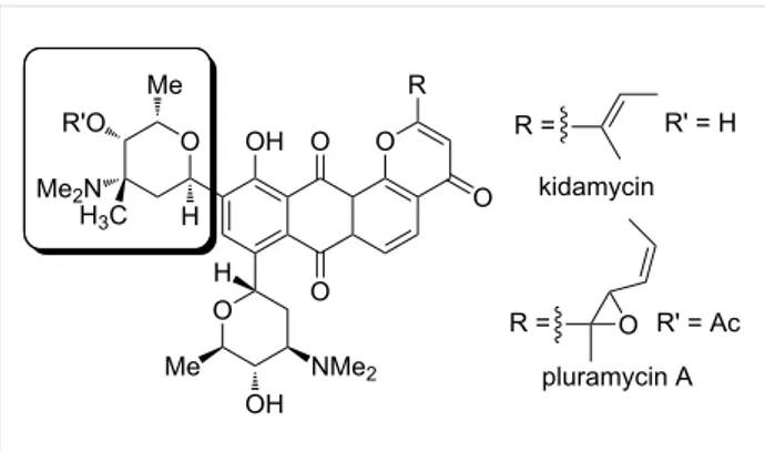 Figure 1: N,N-Dimethyl-L-vancosamine as substructure of kidamycin and pluramycin.