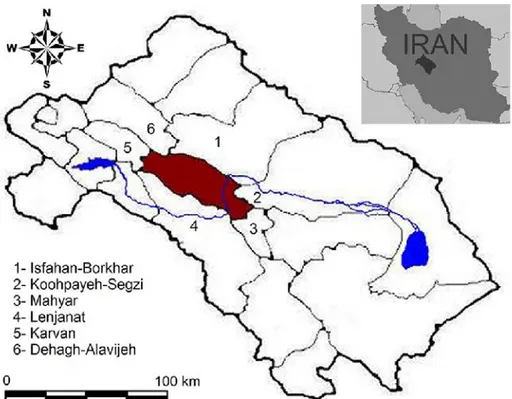 Fig. 1. Zayandehrud River (blue) passes through Najafabad sub-basin (brown) and neighboring sub-basins in Zayandehrud River basin
