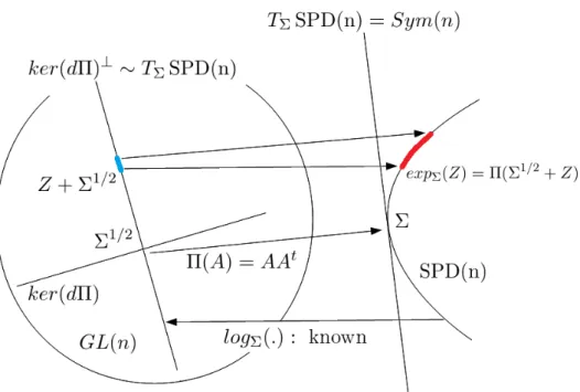 Figure 6: The application Π is a Riemannian submersion for the flat met- met-ric on Gl(n) and the Wasserstien metric on SPD(n)