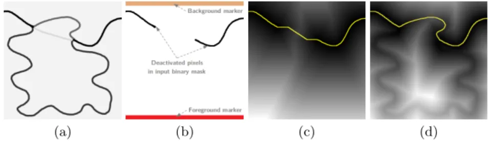 Fig. 5. Distance functions and segmentation. (a) Viscosity function, (b) The experi- experi-ment’s settings: in black are shown the pixels from which the distance functions are computed