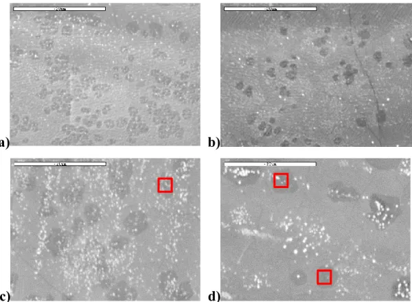 Figure 3.6 : Images obtenues par MEB à grossissement 3000× des îlots de bicouches obtenus par  croissance CVD avec un a) b) refroidissement sur 3 minutes; c) d) refroidissement sur 10 minutes