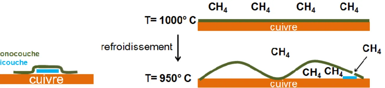 Figure 3.9 : Schéma illustrant la croissance des bicouches en dessous de la monocouche de graphène  durant l’étape de refroidissement