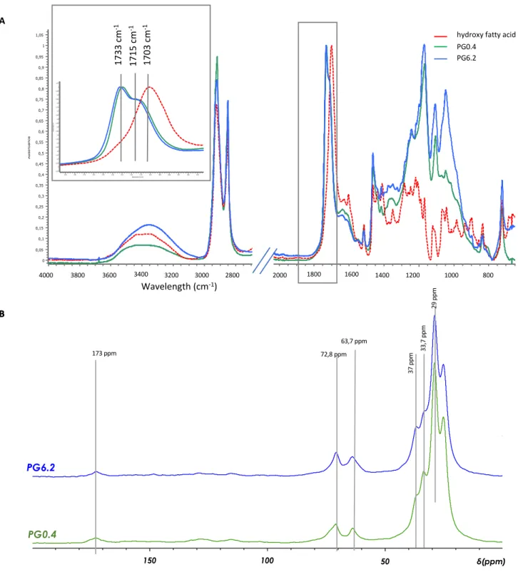 Figure 2- ATR-FTIR  and NMR spectra of the cutin-like polyesters films
