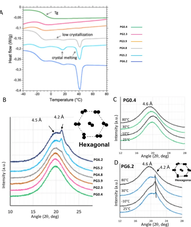 Figure 4. DSC and XRD analyses of the different cutin-like diOHC16-glycerol co-polyester films A 