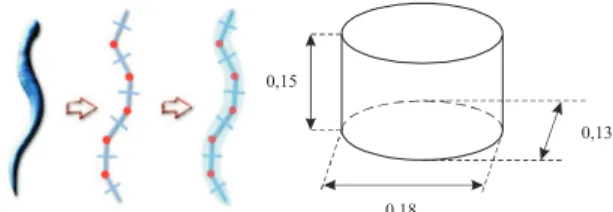 Figure 1. DECOMPOSITION OF THE BODY OF THE EEL VERTEBRA WITH THEIR DIMENSIONS [m]