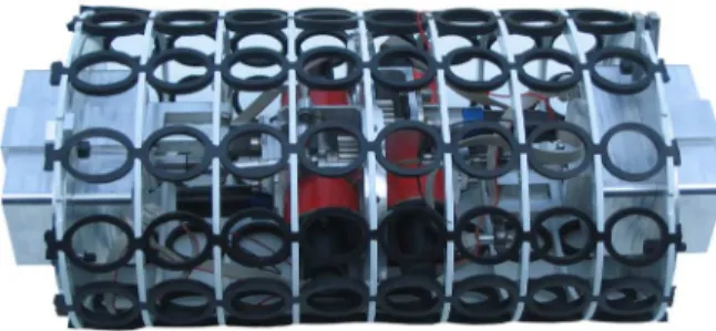 Figure 13. PROTOTYPE OF THE HEAD MADE IN RAPID PROTOTYP- PROTOTYP-ING WITH TWO CLOSED-LOOP CHAINS TO CONTROL THE FINS