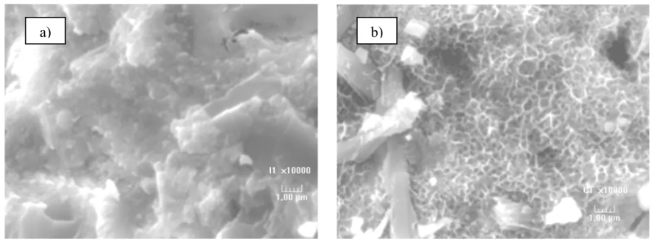 Figure 11: SEM observations on the crack surfaces of the studied concrete; a) crack without  healing, b) crack with healing – Enlargement of 10000 