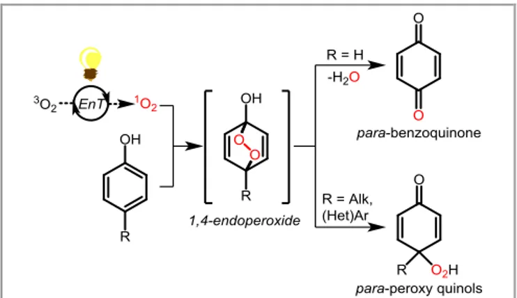 Figure 2 Phenol transformation via energy transfer catalysis. 