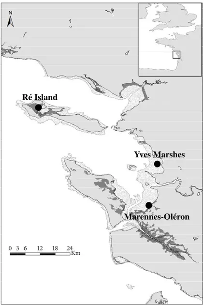 Figure  1.  Pertuis  Charentais  study  site  with  the  sampling  stations:  Ré  Island,  Yves  marshes  and Marennes-Oléron