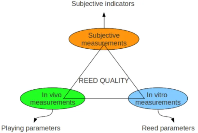 Figure 1: Structure of the research done on reed quality.