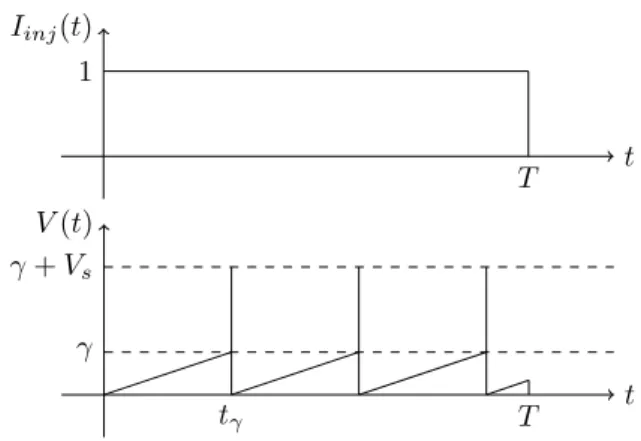 Fig. 2. Example of the evolution of the membrane voltage V (t) in absence of additive noise Z over the interval [0, T ], when i inj = A, A = 1 and C = 1