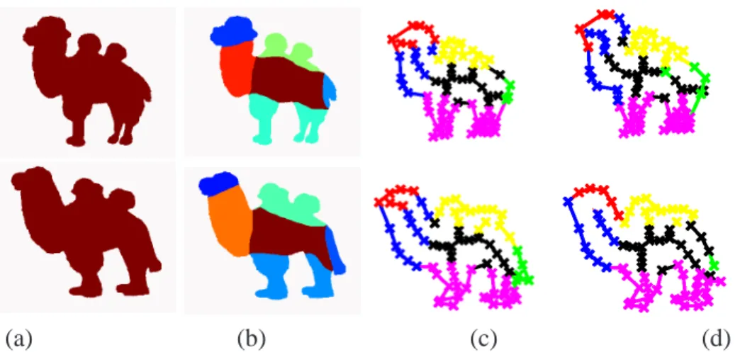 Figure 5: (a) Original images. (b) Manual segmentation (c) Graph-based repre- repre-sentation (obtained automatically from subsampled contours and shock graphs) with induced vertex labels (d) Prediction of vertex labels on the basis of graph matching made 