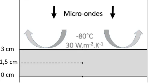 Figure 2: Schéma du système. 