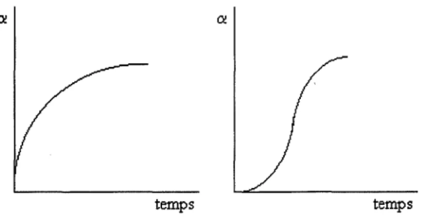 Figure 12 : Allures des courbes cinétiques obtenues lors de la décomposition des solides 