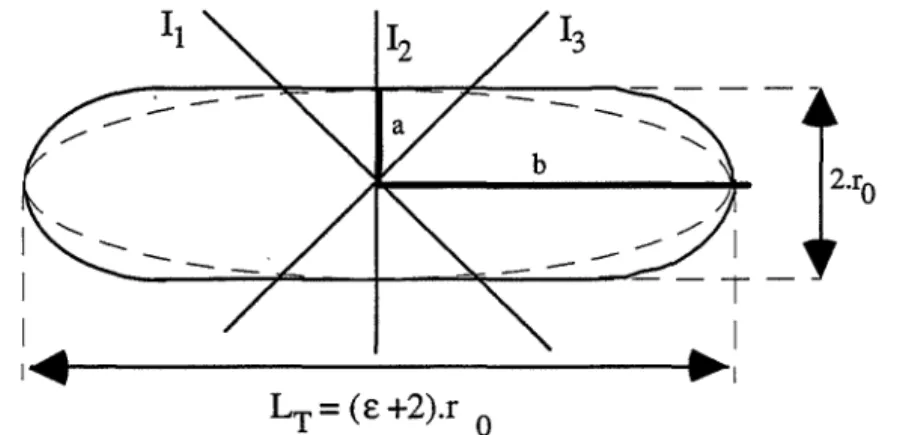 Figure II.29 : Répartition des rayons et des longueurs  des grains pour le sulfate de lithium monohydraté 