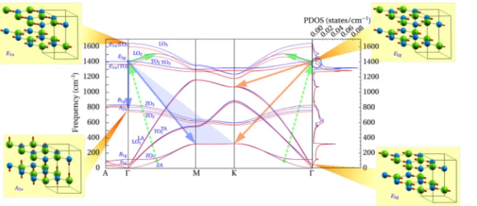 Figure 10: Phonon dispersion along the main symmetry lines and the corresponding phonon density of states for isotopically pure 10 BN (blue lines) and 11 BN (red lines).