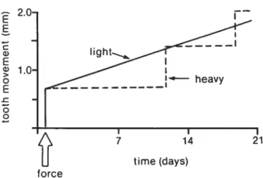 figure 2.1: Représentation schématique du mouvement dentaire en fonction du temps, selon ta résorption frontale et ta résorption sous-minée (Proffit, 2000).