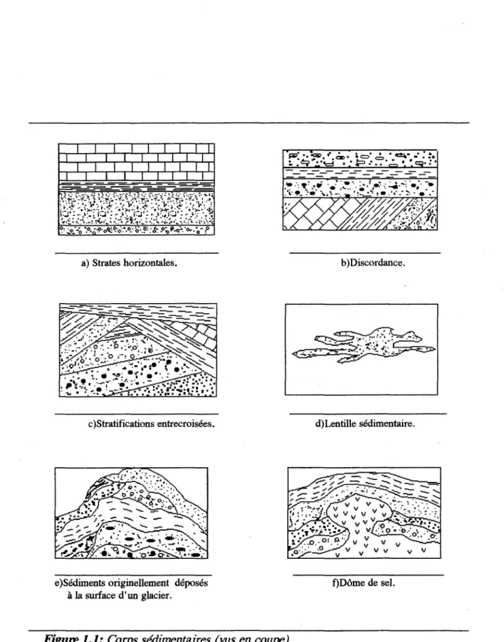 Figure 1.1:  Corps sédimentaires (vus  en coupe). 
