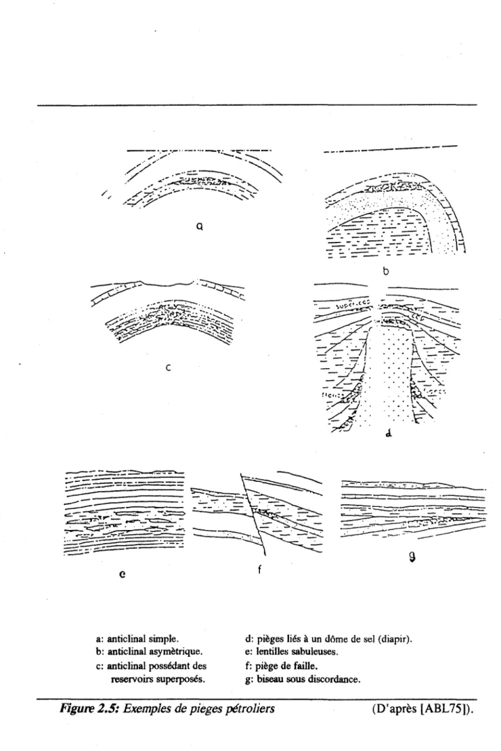 Figure 2.5:  Exemples de pieges pétroliers  (D'après [ABL75]) . 