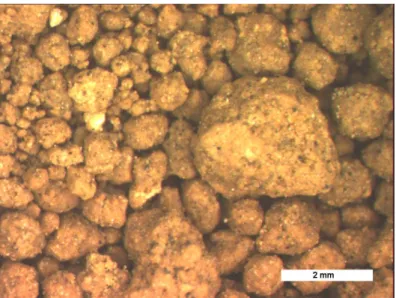 Figure  5-9 : Observation à la loupe binoculaire des grumeaux après l’ajout du ciment