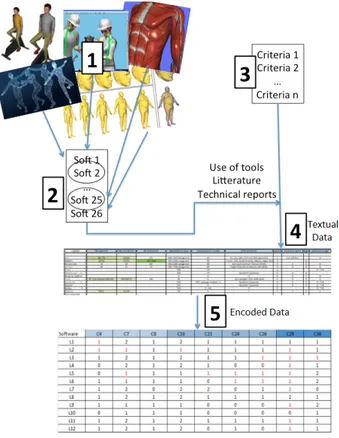 Figure 2: MANIKIN OF JACK (a), RAMSIS (b), HU- HU-MANCAD (c) AND 3DSSPP (d).