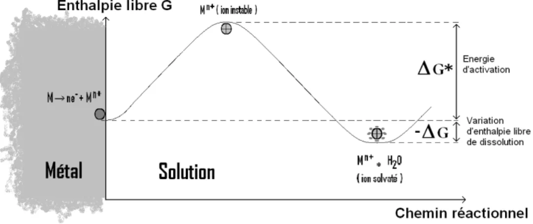 Figure 1.1 : Schématisation de la dissolution anodique d’un métal dans une solution