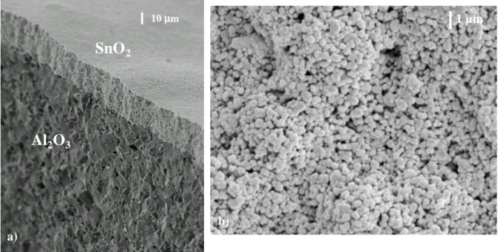 Figure 4 : Photographies MEB d’une couche épaisse de SnO 2  sérigraphiée de 20 µm   déposée sur alumine alpha : a) en coupe (X 500), b) en vue de dessus (X 5000) a) 10  µµµµm Al2 O3 SnO2  1 µm b) 