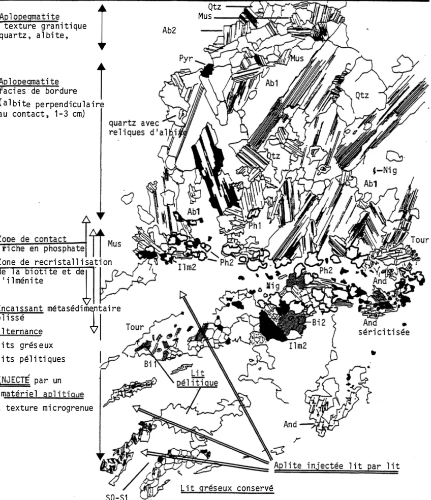 Figure  1 1 1 -5 :   Injection de matériel aplitique, transformations et altérations  hydrothermales superposées aux épontes d'une aplopegmatite