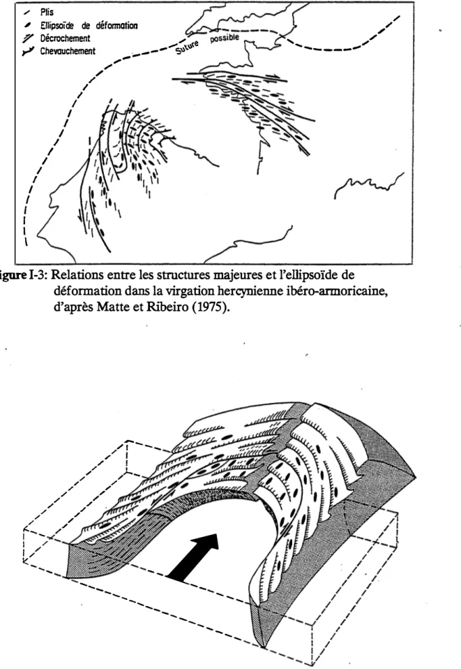 Figure  1-4:  Modèle schématique d'une virgation de type ibéro-armoricain,  d'aprè� Matte et Ribeiro (1975)
